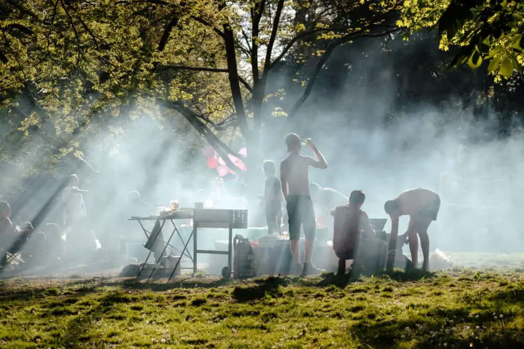 människor som grillar under grönt träd