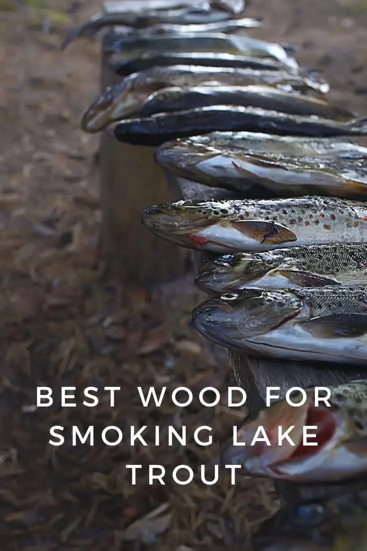 Trout lying on a wooden bench ready to be smoked