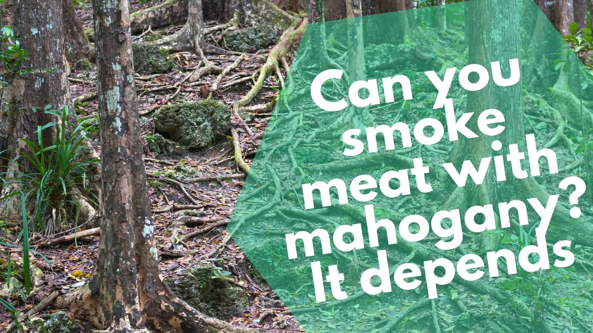 Can you smoke meat with mahogany