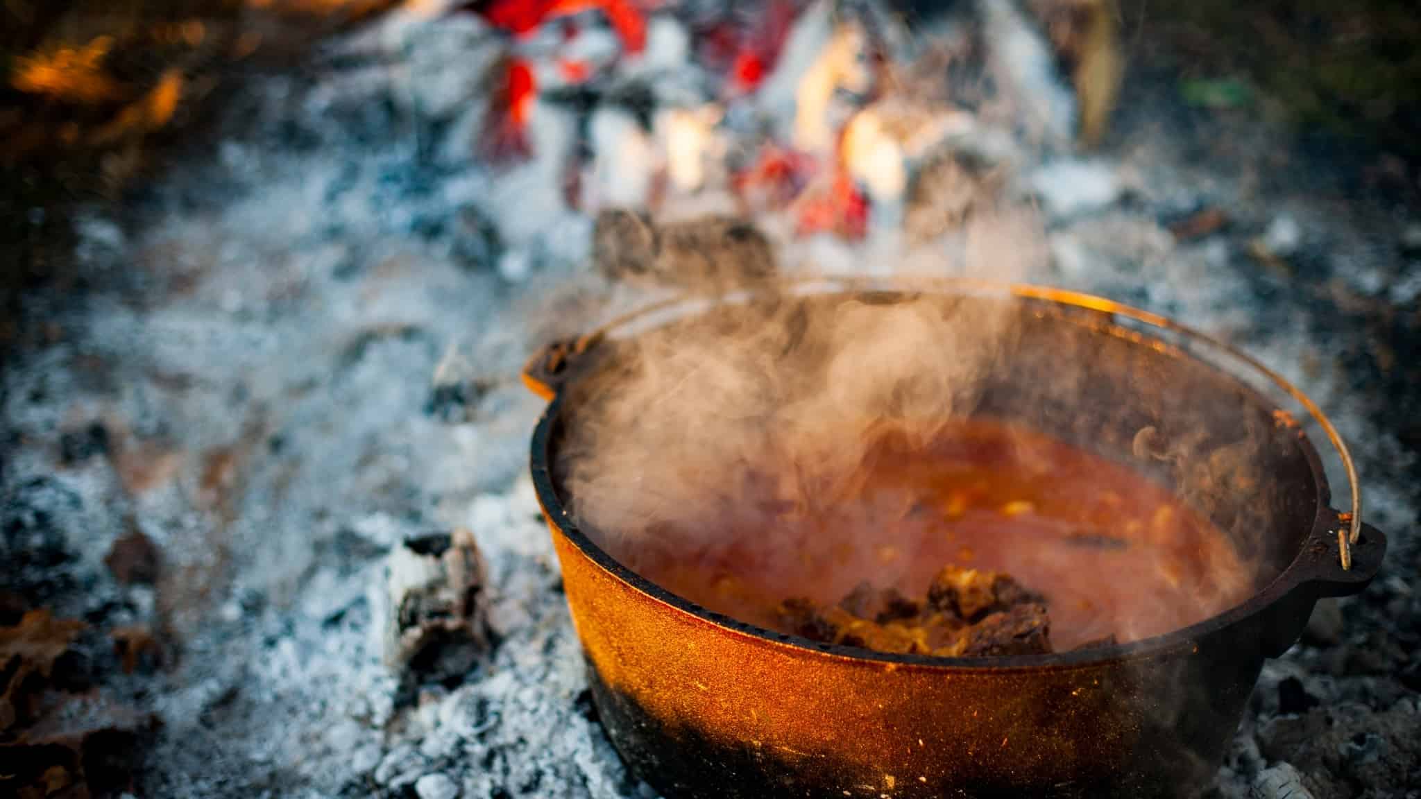 Camp Dutch Oven beef stew