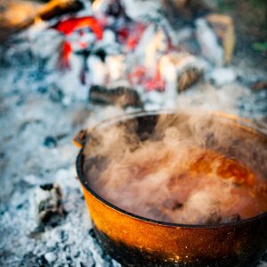 Dutch oven beef stew recipe