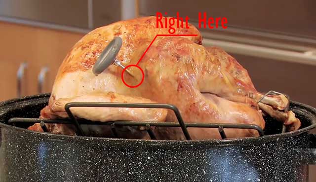 Where-to-Put-Thermometer-in-Turkey