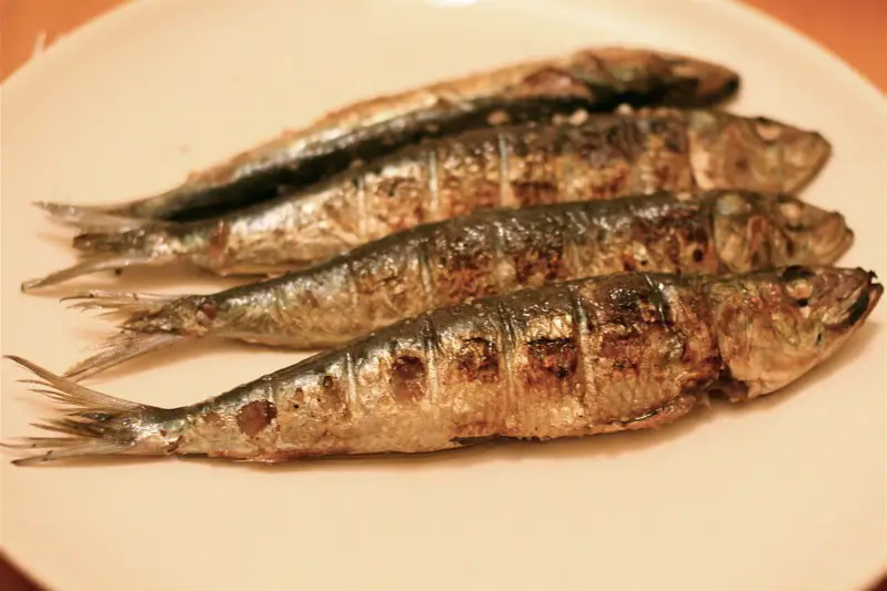 grilled-sardine