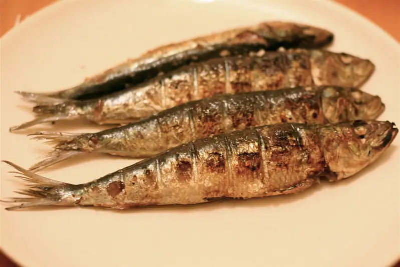 grilovaná sardinka