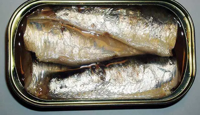 sardine brez repa