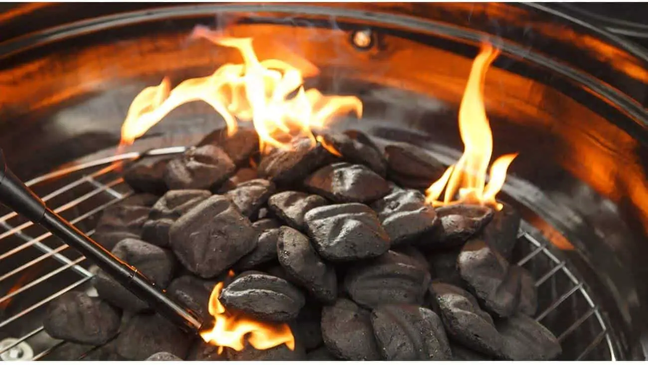 Meilleures briquettes de charbon de bois pour le gril passionné