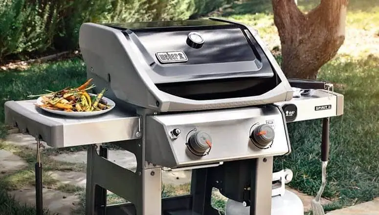 Bästa lilla gasgrill för begränsat utrymme- Weber Spirit II E-210 i trädgården