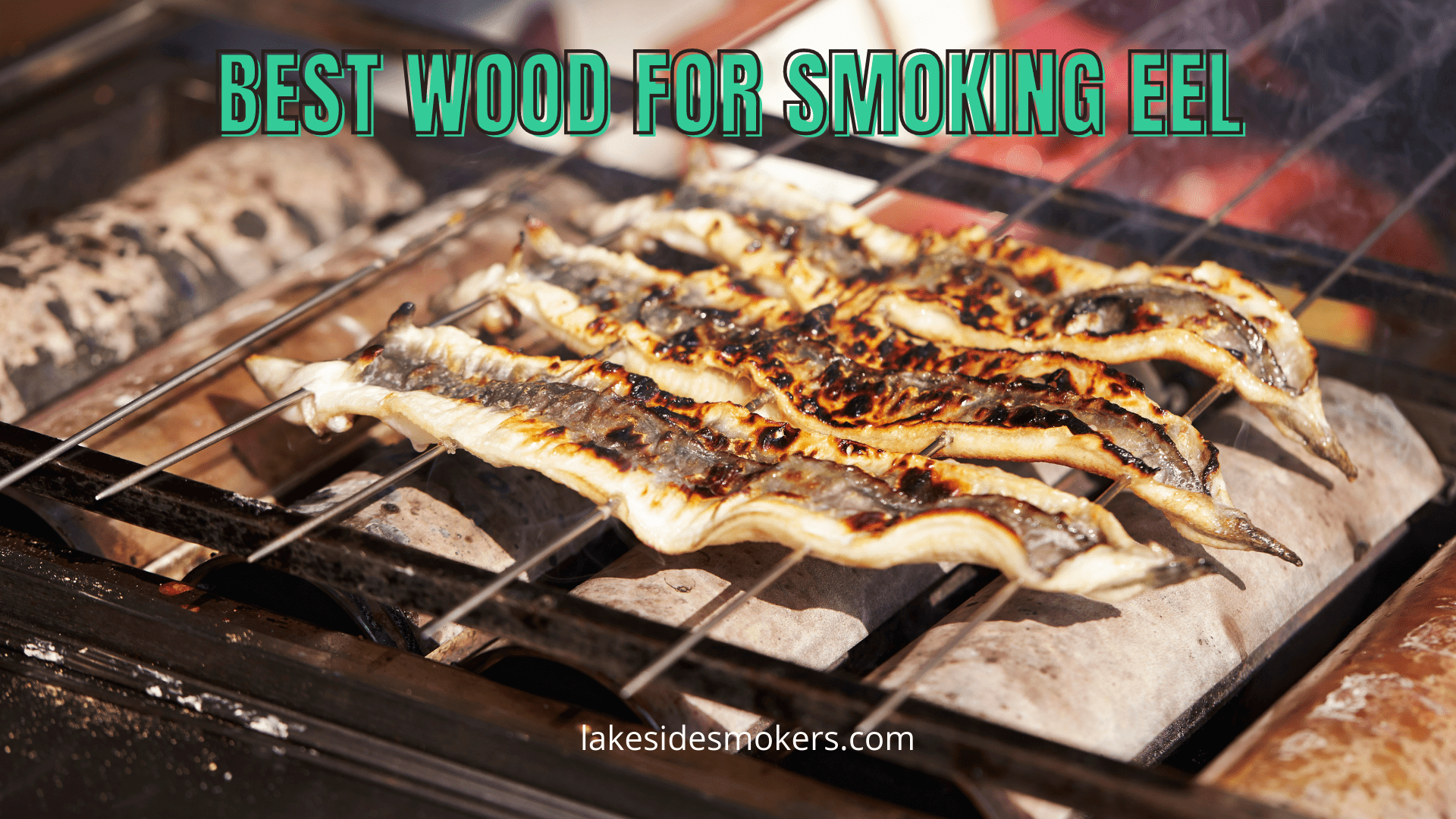 Best wood for smoking eel | How to get the best out of this tasty fish