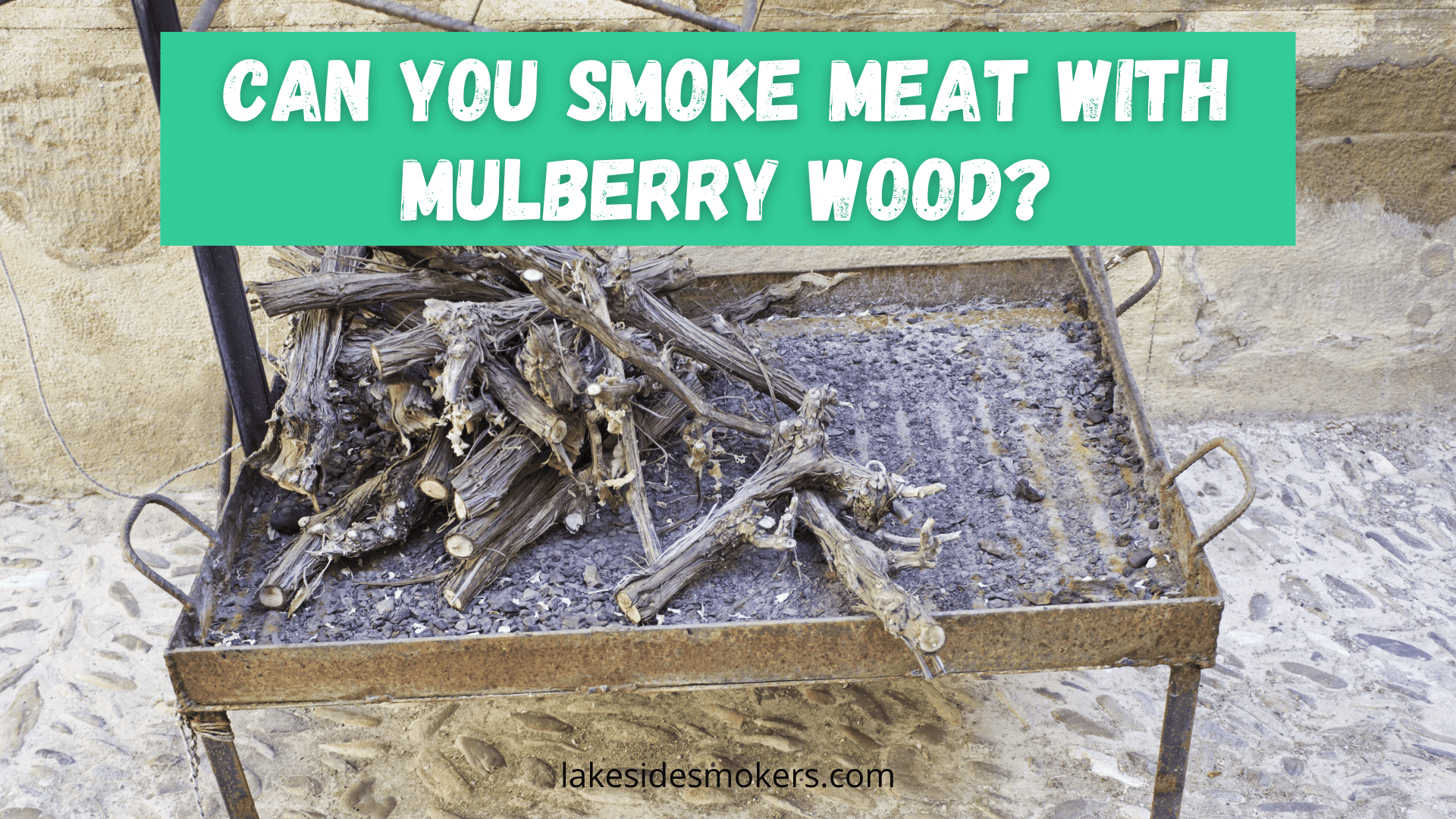 Can you smoke meat with mulberry wood? Yes, it's great!