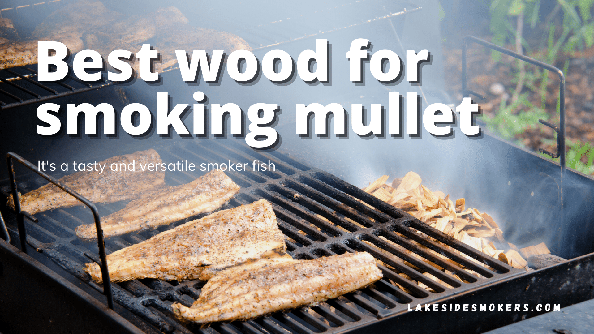 Best wood for smoking mullet | A tasty and versatile smoker fish