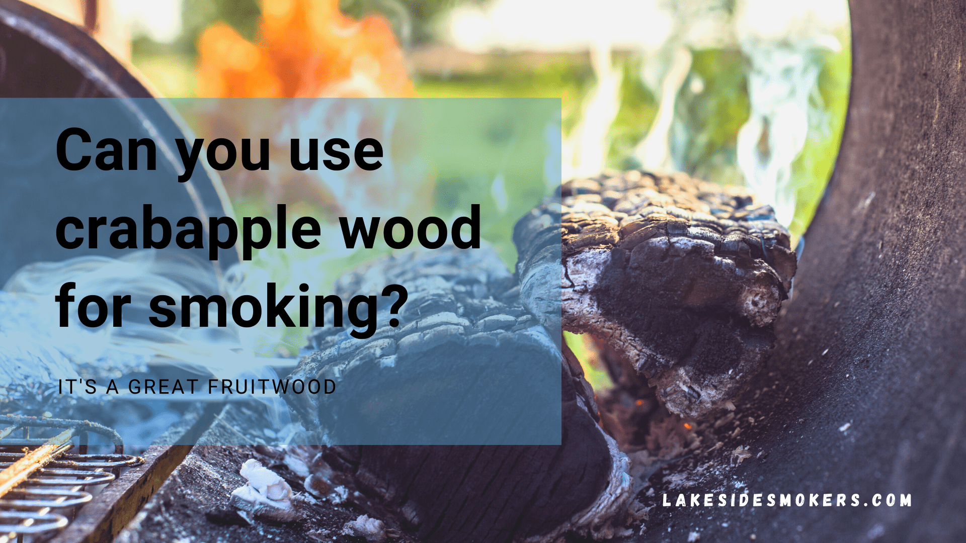 Can you use crabapple wood for smoking? It's a great fruitwood