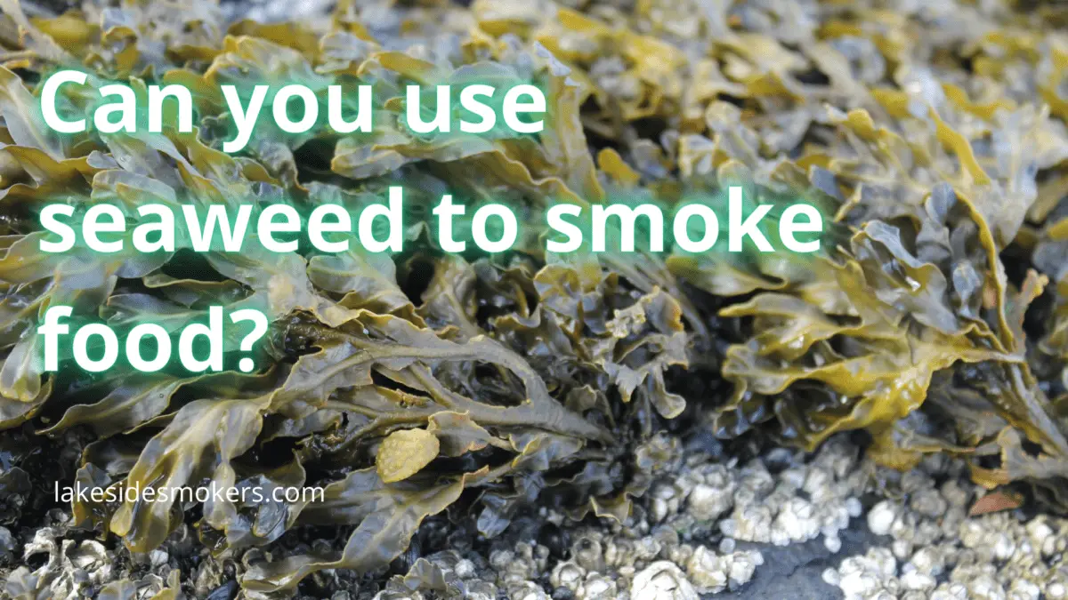 Can you use seaweed to smoke food? Yes, but keep this in mind