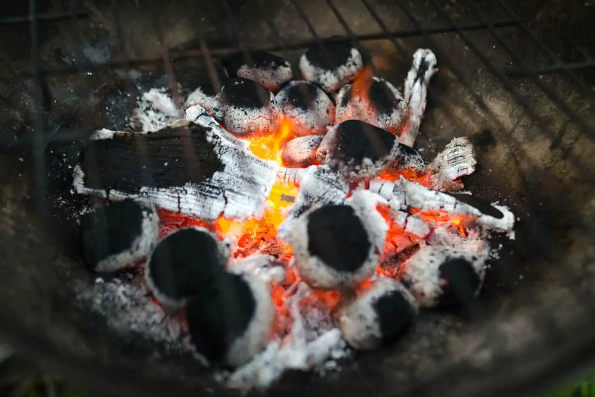 Can You Use Charcoal In A Green Egg?