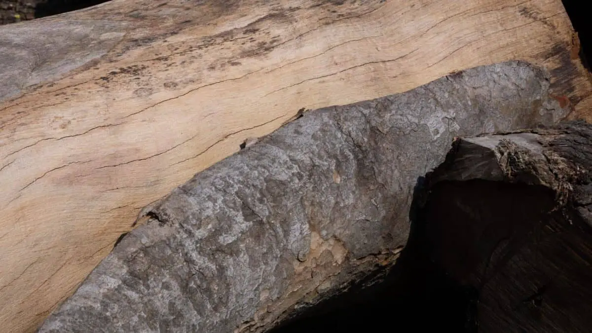 ¿Deberías dejar la corteza en la madera para fumar?