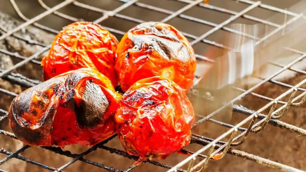 Hout voor het roken van tomaten