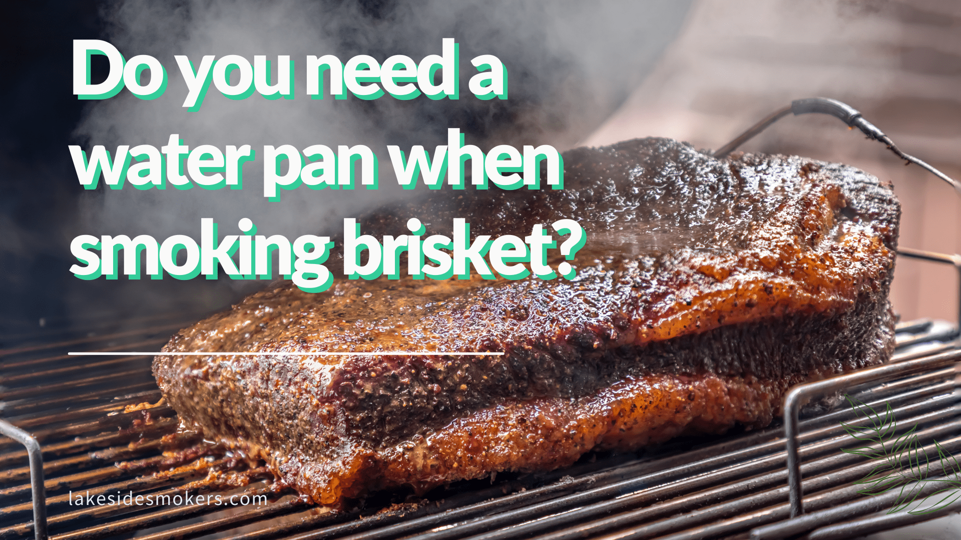 Do you need a water pan when smoking brisket? Absolutely!
