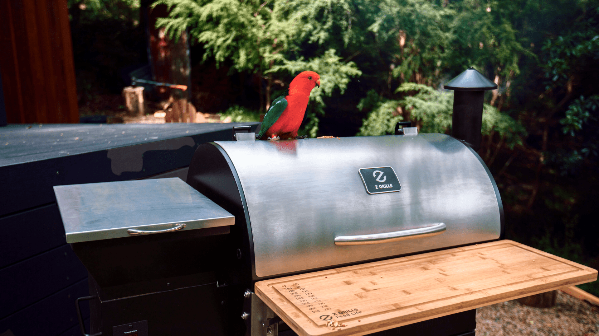 How do you clean creosote out of a smoker? | It’s easy with THESE simple tips