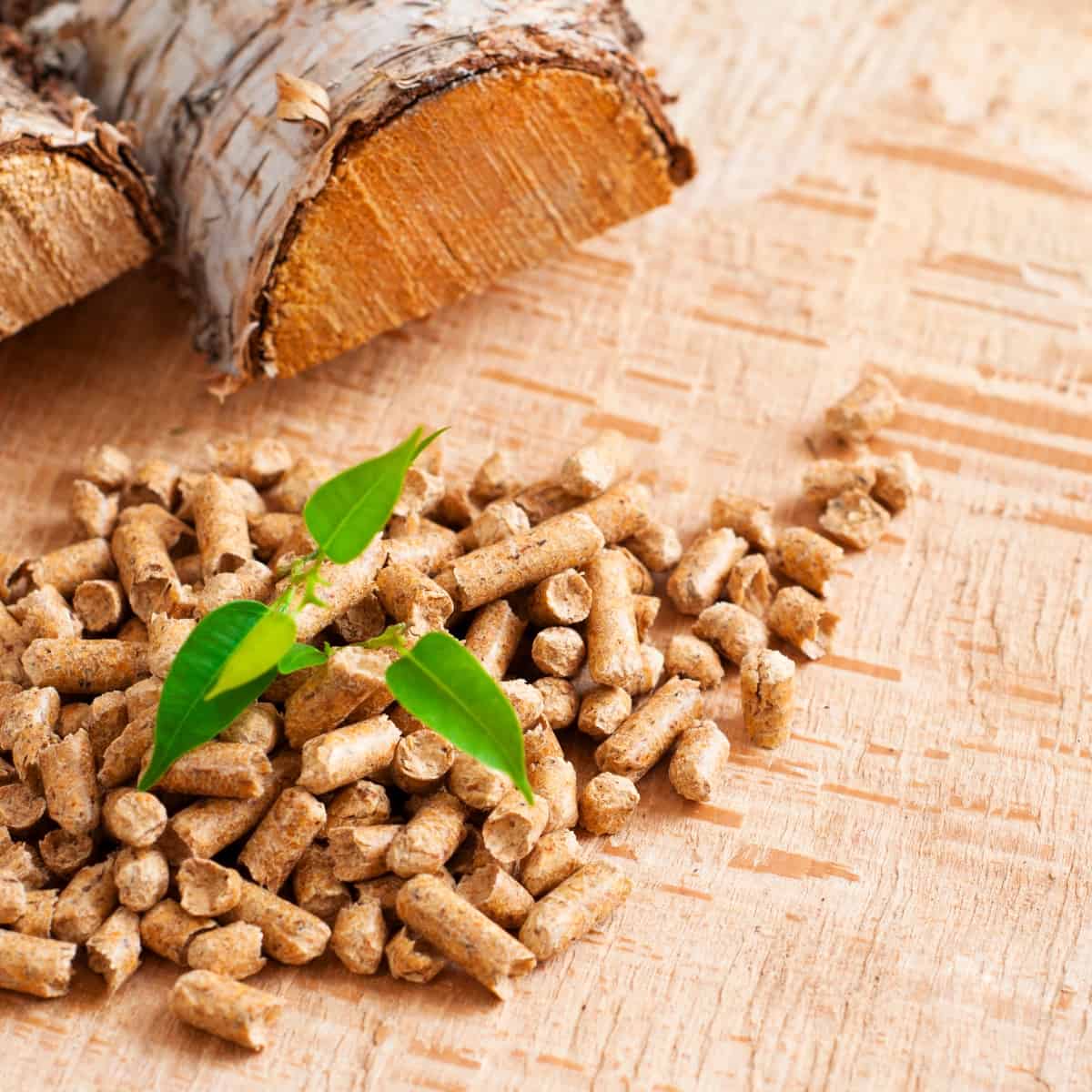 What are wood pellets