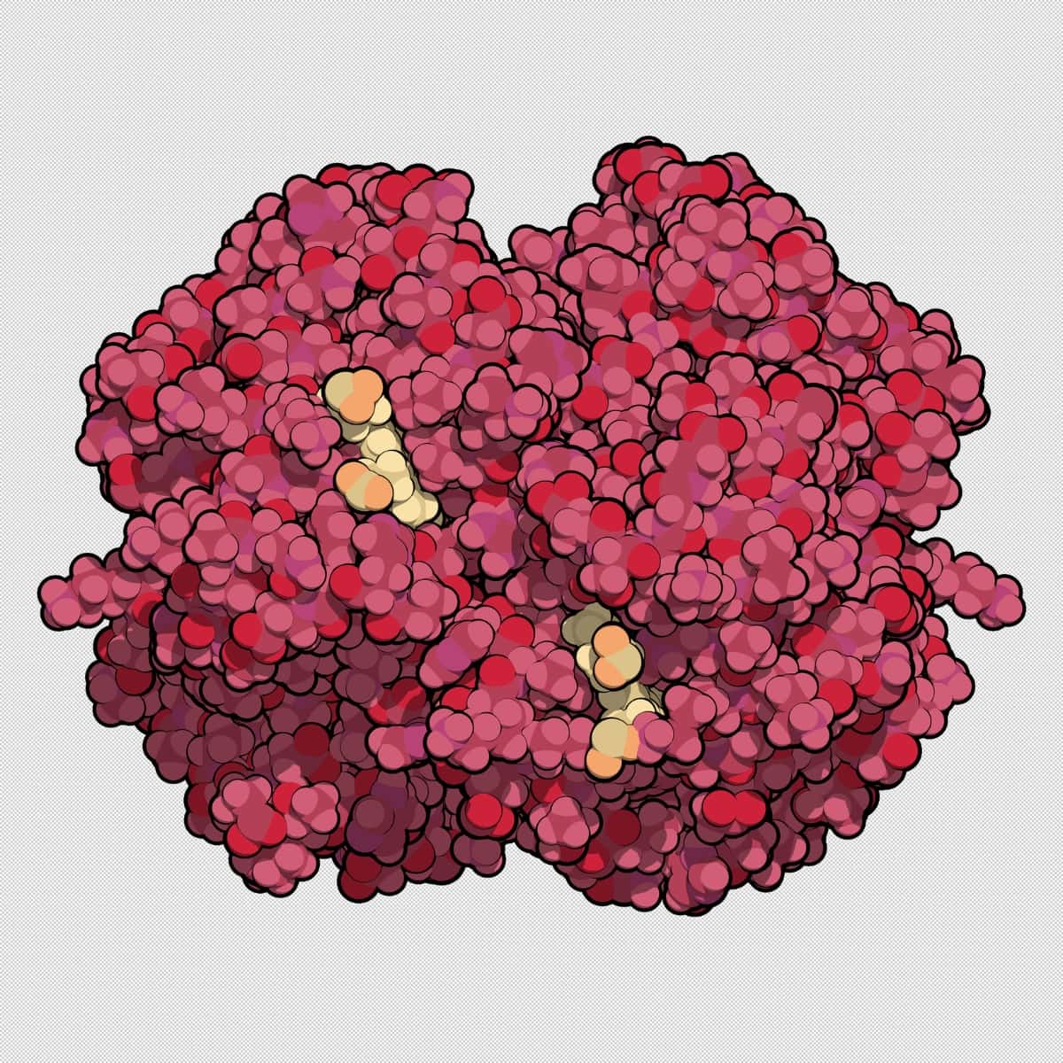 Was ist Myoglobin?