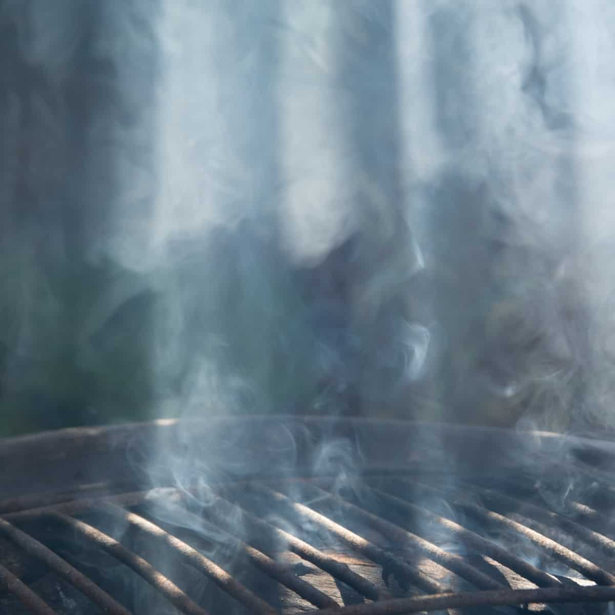 Co je fanoušek kuřáků bbq