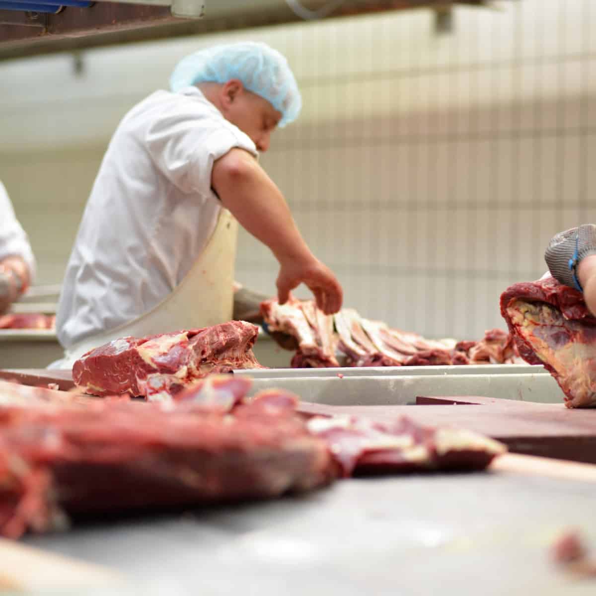 What is a cut of meat