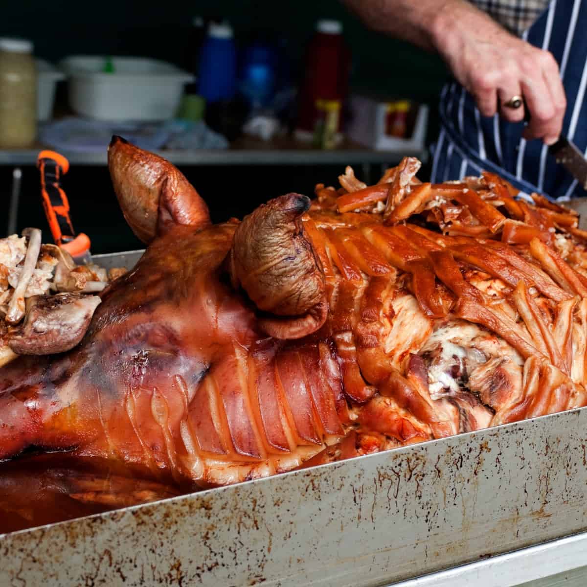 Qu'est-ce qu'un cochon