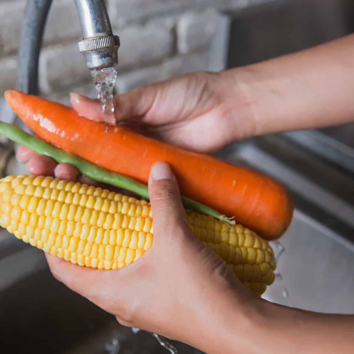 O que é segurança alimentar