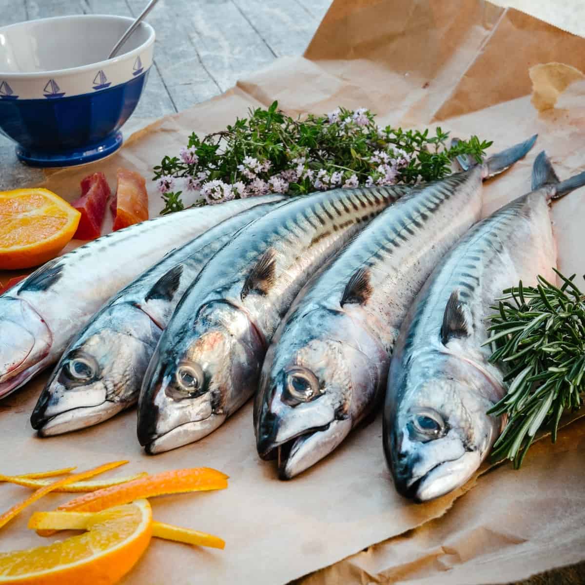 What is mackerel