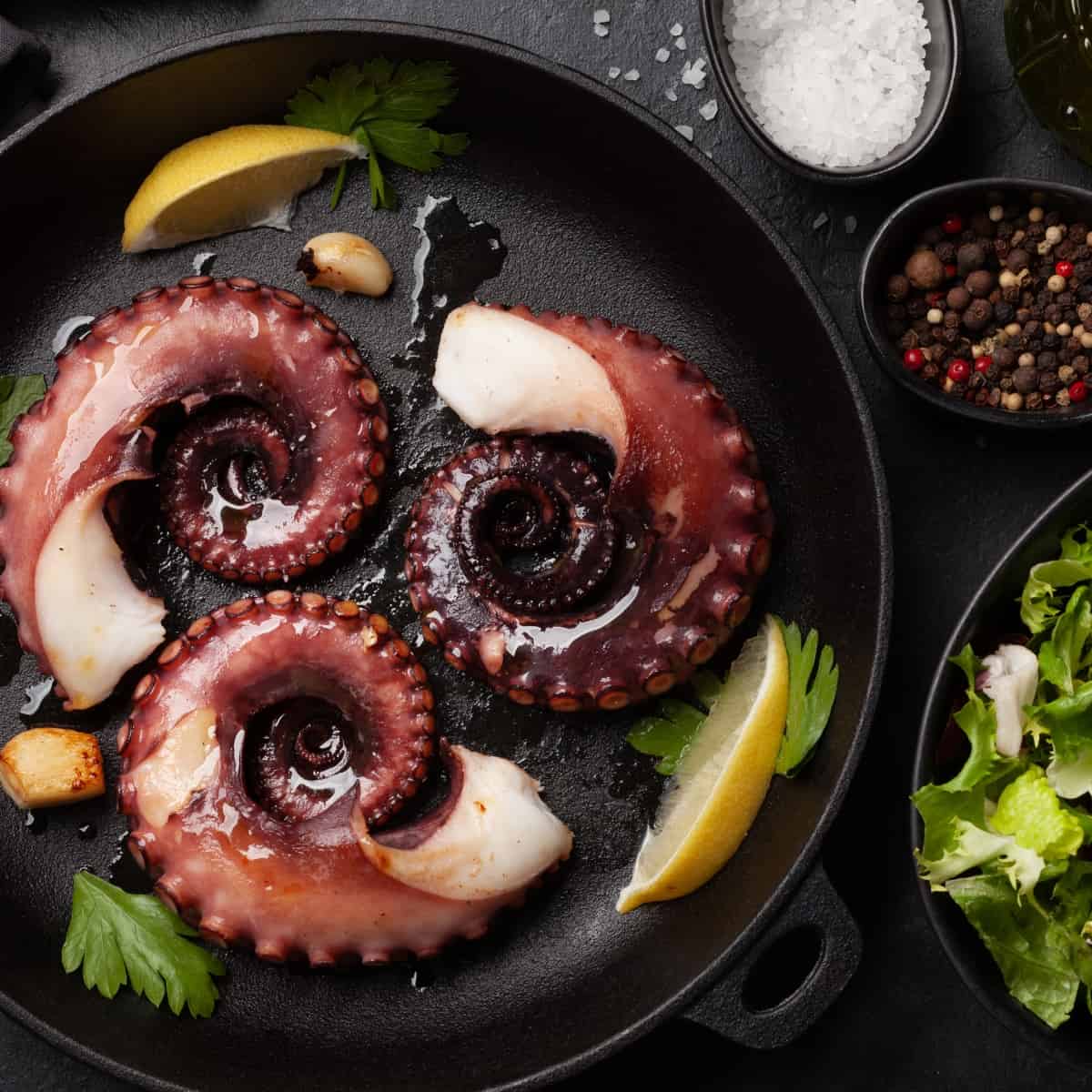 What is octopus