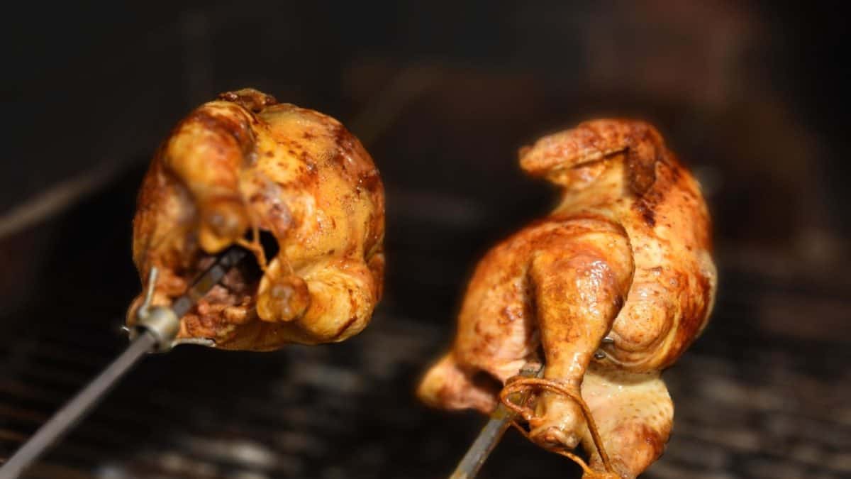 Best rotisserie grills reviewed