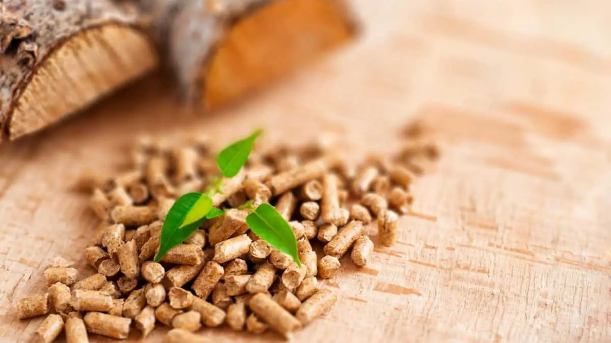 How to choose the right type of pellets