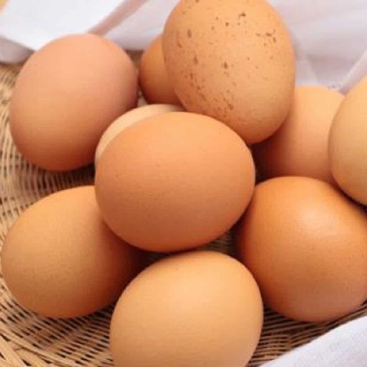 What are eggs