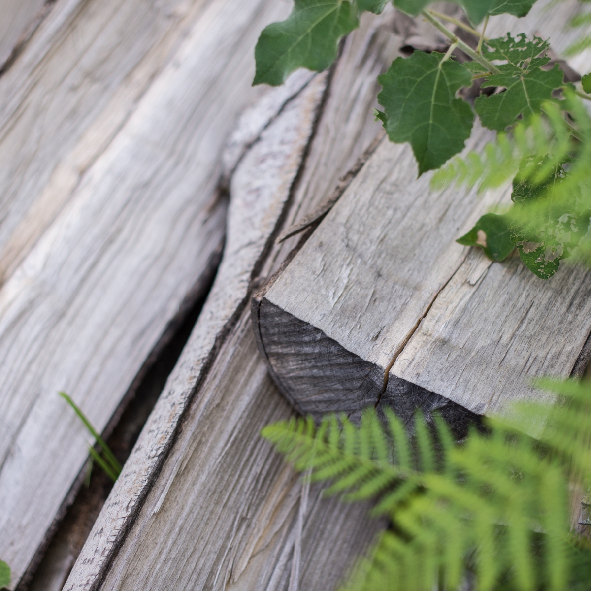 What are wood chunks