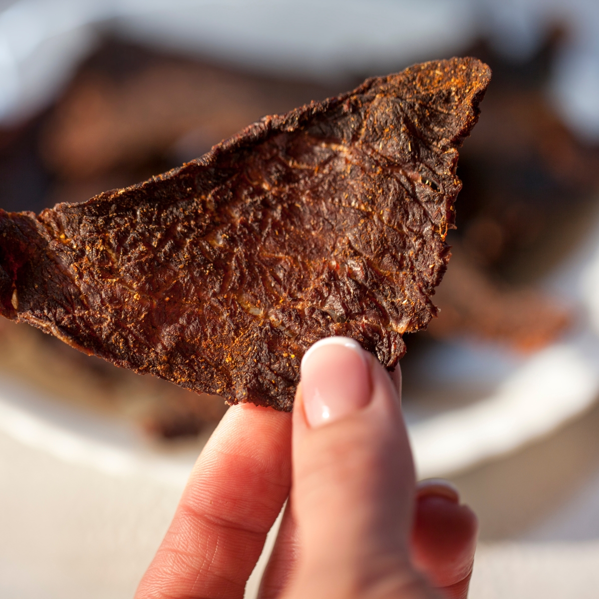 What is jerky