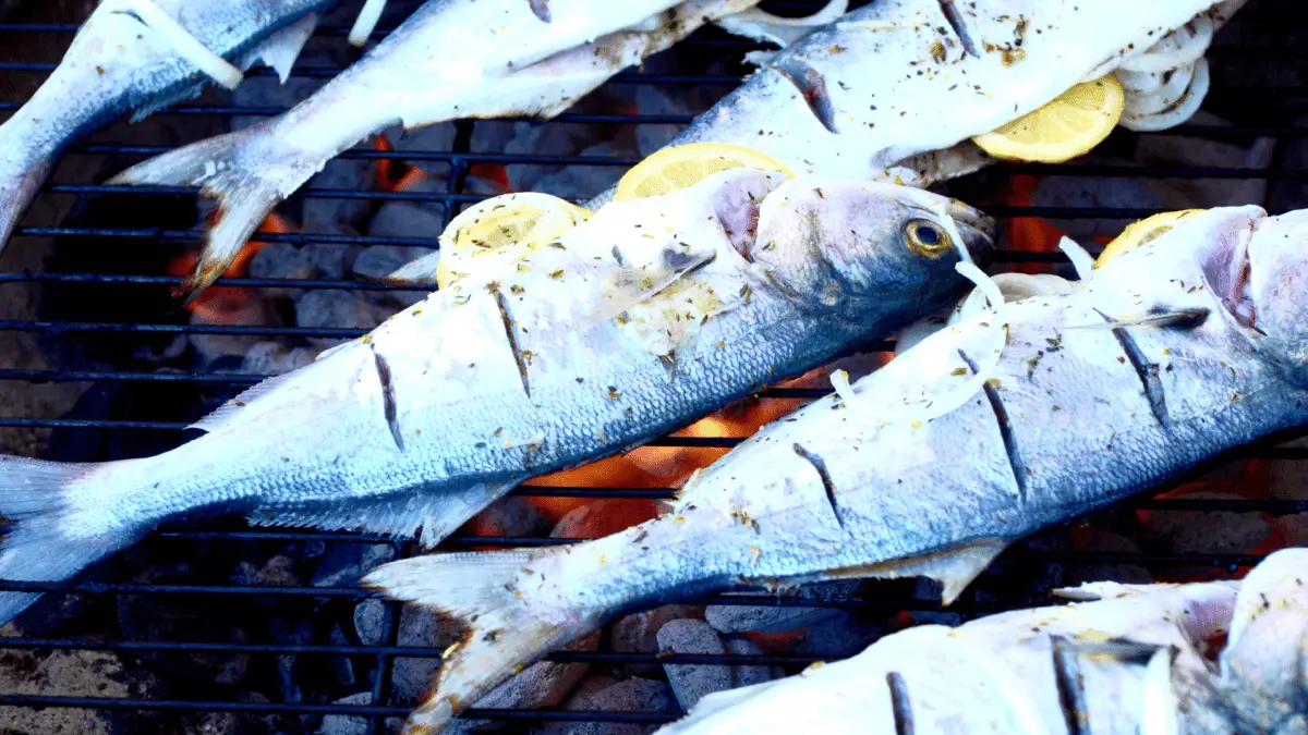 rows of whole bluefish on smoker with slices of lemons