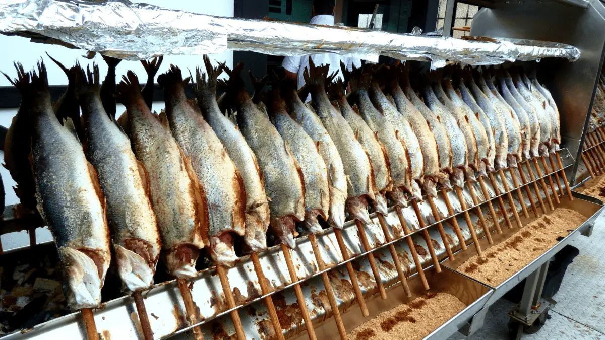 row of cod fish held up by wooden poles