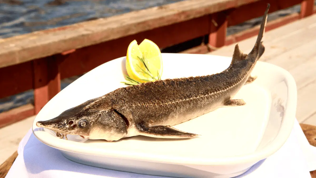 whole sturgeon on a white plate with lemon wedges